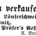 1881-03-11 Kl Laeuferschweine